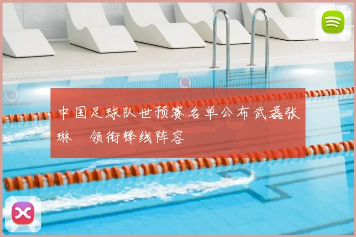 中国足球队世预赛名单公布武磊张琳芃领衔锋线阵容