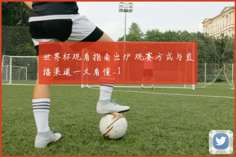 世界杯观看指南出炉 观赛方式与直播渠道一文看懂_1